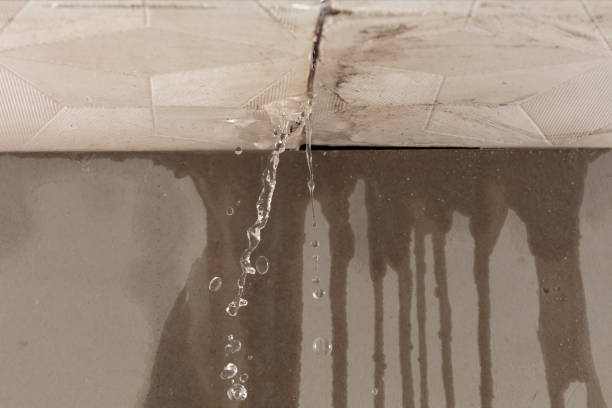 Professional Burst Pipe Cleanup technician working in Vonore, TN
